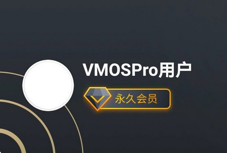 VMOS Pro最新版2022破解版2.0.0 手机专业高级版-微分享自媒体驿站